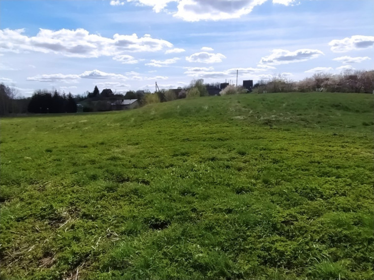 Parduodamas kitos paskirties sklypas Dalios g., Kaišiadorių m., Kaišiadorių r. sav., 98.61 a ploto 6