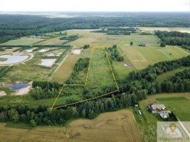 Parduodamas  sklypas Sukniškio k., Panevėžio r. sav., 299.78 a ploto 4