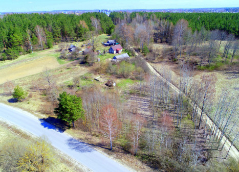 Parduodamas  sklypas Pušyno, Ylių k., Raseinių r. sav., 260 a ploto