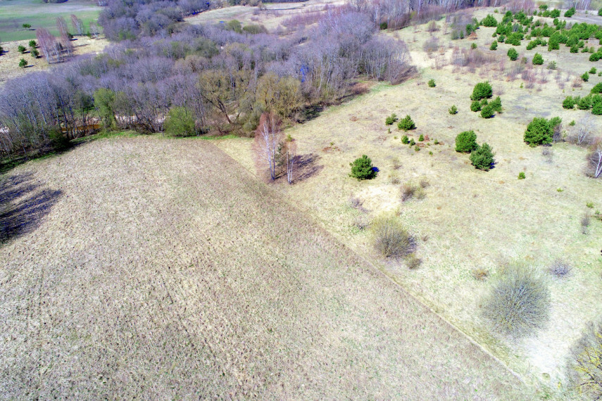 Parduodamas  sklypas Pušyno, Ylių k., Raseinių r. sav., 260 a ploto 10