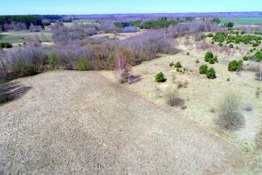 Parduodamas  sklypas Pušyno, Ylių k., Raseinių r. sav., 260 a ploto 11