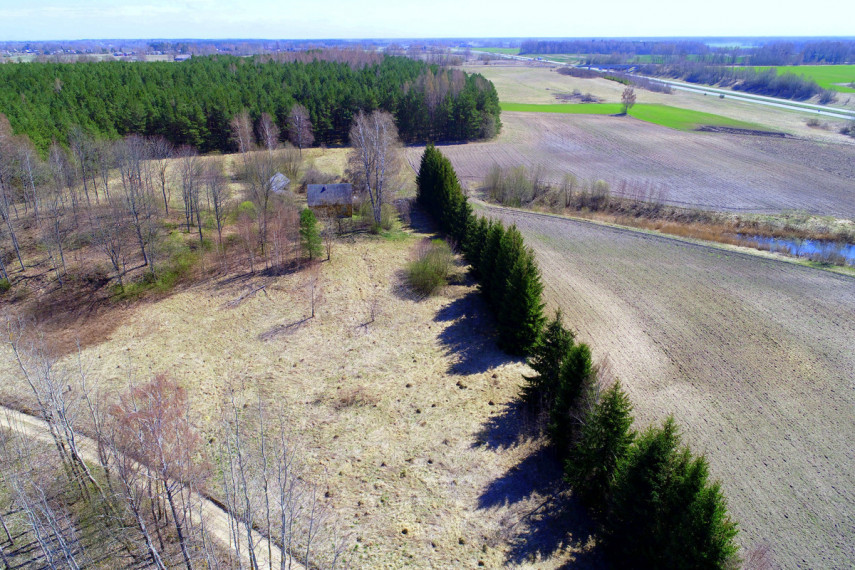 Parduodamas  sklypas Pušyno, Ylių k., Raseinių r. sav., 260 a ploto 12