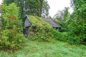 Parduodamas namas Plento, Kupiškio m., Kupiškio r. sav., 62.59 m2 ploto, 1 aukštai 12