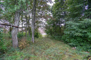 Parduodamas namas Plento, Kupiškio m., Kupiškio r. sav., 62.59 m2 ploto, 1 aukštai 14