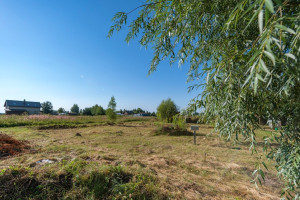 Parduodamas namas Jaunystės, Patamulšėlio k., Kauno r. sav., 116.33 m2 ploto, 1 aukštai 19