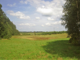 Parduodamas kitos paskirties sklypas Girvydiškių k., Zarasų r. sav., 2600 a ploto 6