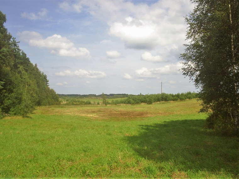 Parduodamas kitos paskirties sklypas Girvydiškių k., Zarasų r. sav., 2600 a ploto 6