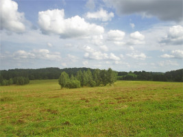 Parduodamas kitos paskirties sklypas Girvydiškių k., Zarasų r. sav., 2600 a ploto 7