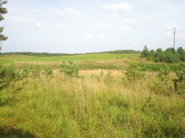 Parduodamas kitos paskirties sklypas Girvydiškių k., Zarasų r. sav., 2600 a ploto 9