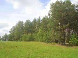 Parduodamas kitos paskirties sklypas Girvydiškių k., Zarasų r. sav., 2600 a ploto 13