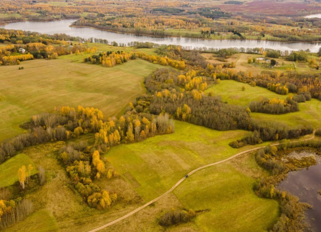 Parduodamas  sklypas Dubingių k., Molėtų r. sav., 80 a ploto