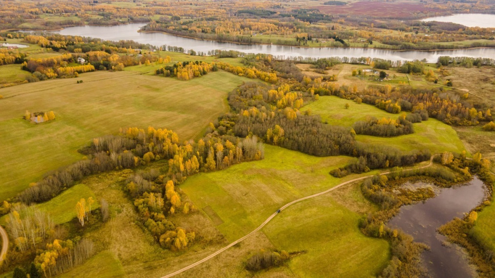 Parduodamas  sklypas Dubingių k., Molėtų r. sav., 80 a ploto 1