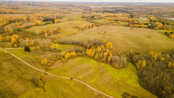 Parduodamas  sklypas Dubingių k., Molėtų r. sav., 80 a ploto 5