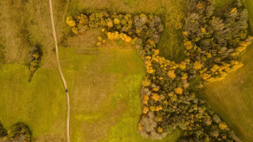 Parduodamas  sklypas Dubingių k., Molėtų r. sav., 80 a ploto 6
