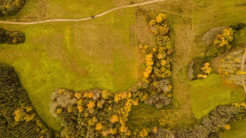 Parduodamas  sklypas Dubingių k., Molėtų r. sav., 80 a ploto 7