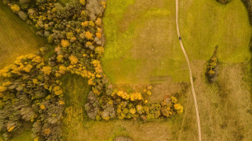 Parduodamas  sklypas Dubingių k., Molėtų r. sav., 80 a ploto 8