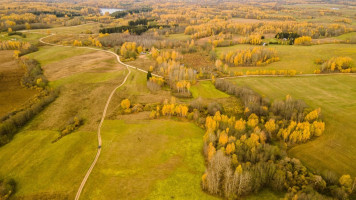 Parduodamas  sklypas Dubingių k., Molėtų r. sav., 80 a ploto 11