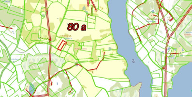 Parduodamas  sklypas Dubingių k., Molėtų r. sav., 80 a ploto 15