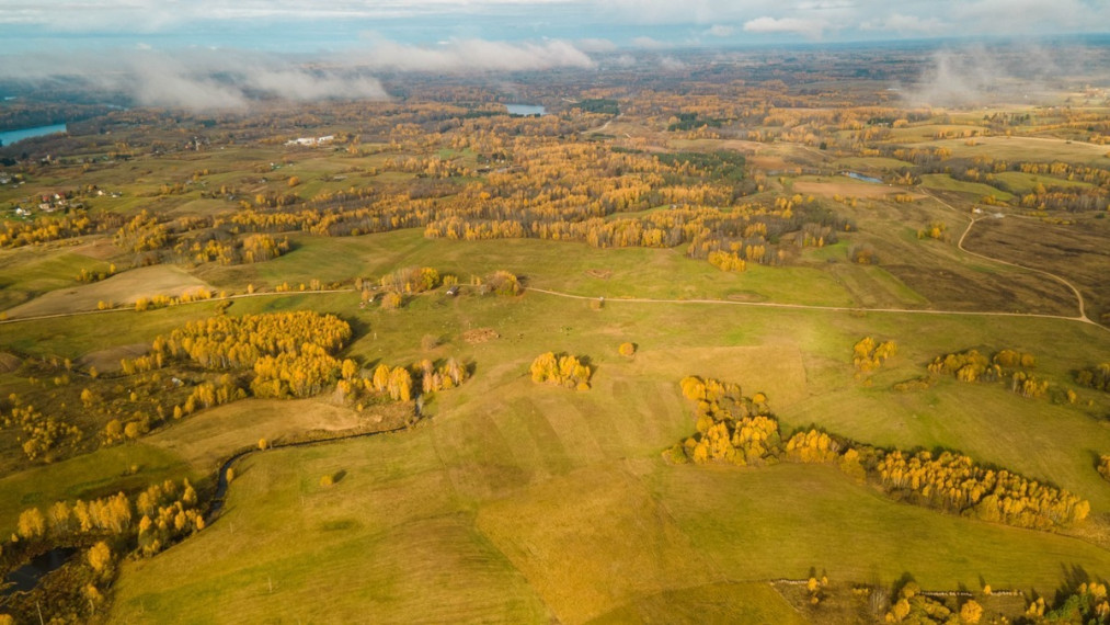 Parduodamas sklypas Turliškių k., Molėtų r. sav., 185 a ploto 4