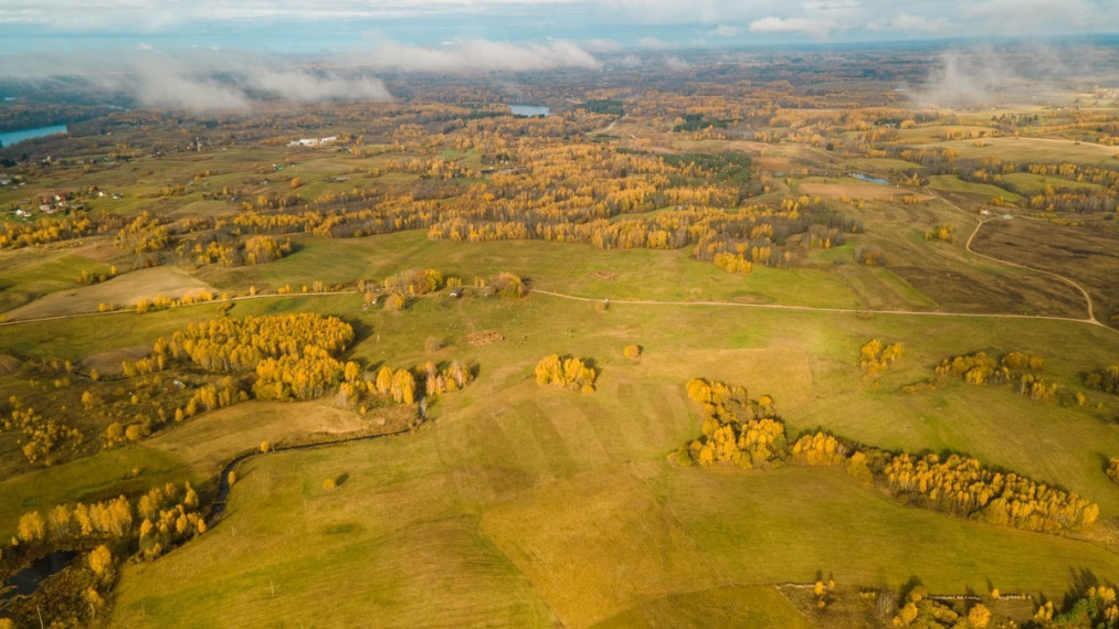 Parduodamas  sklypas Turliškių k., Molėtų r. sav., 185 a ploto 4