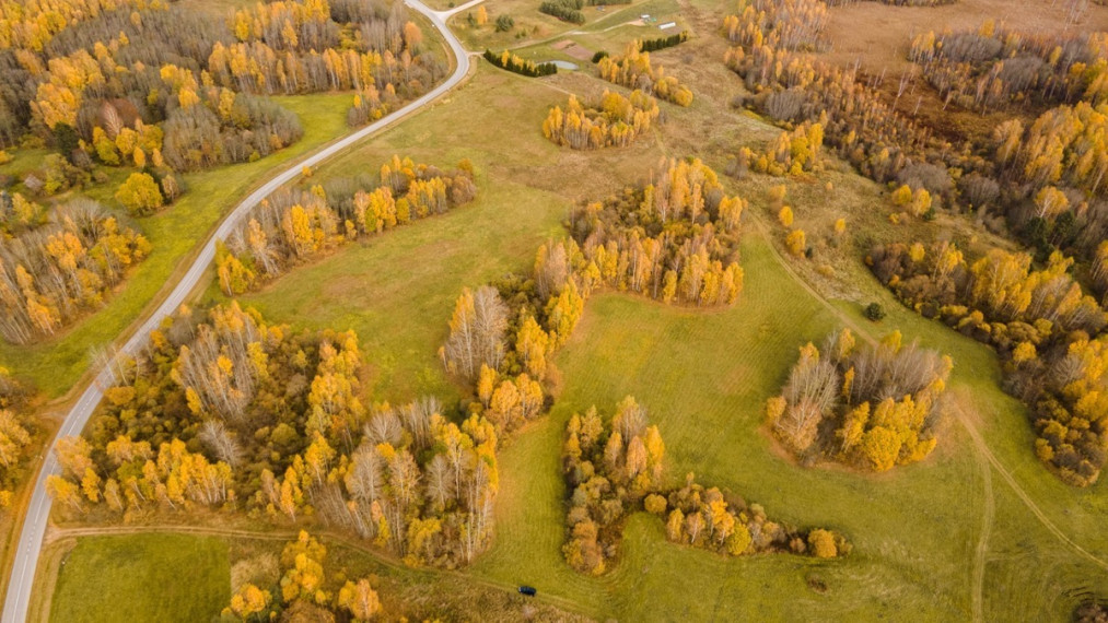 Parduodamas  sklypas Ciūniškių k., Molėtų r. sav., 65 a ploto 2