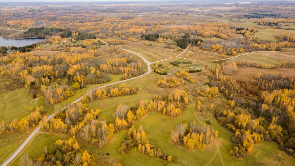 Parduodamas  sklypas Ciūniškių k., Molėtų r. sav., 65 a ploto 4