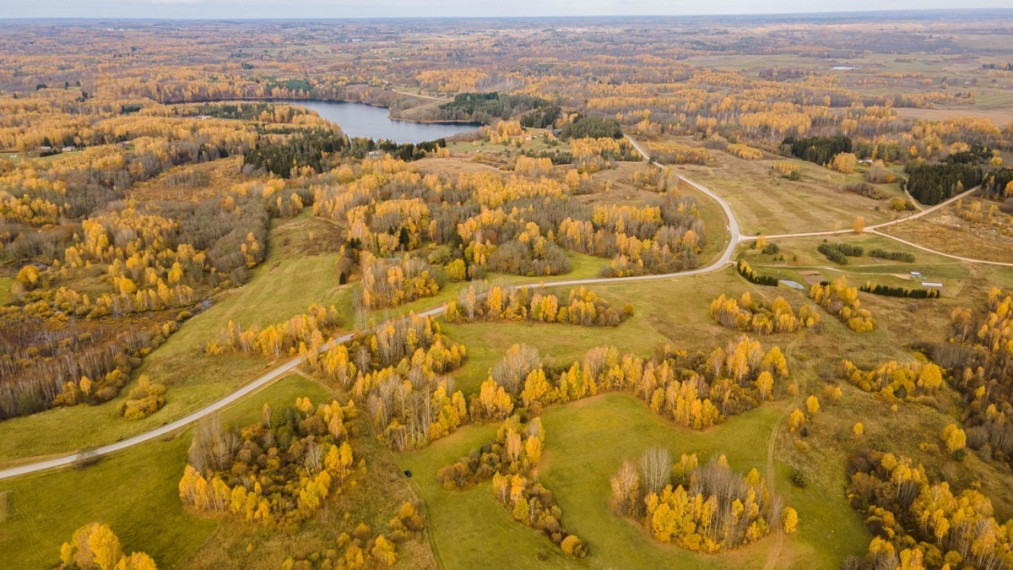 Parduodamas sklypas Ciūniškių k., Molėtų r. sav., 65 a ploto 5