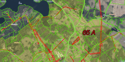 Parduodamas  sklypas Ciūniškių k., Molėtų r. sav., 65 a ploto 15