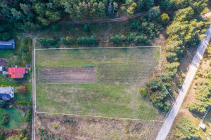 Parduodamas  sklypas Pušų g., Madžiūnų k., Trakų r. sav., 82.04 a ploto 3