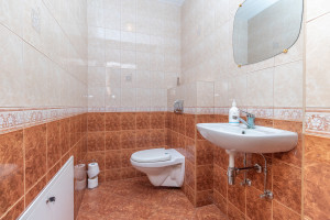 Parduodamas namas Bokšto g., Kluoniškių k., Kauno r. sav., 305 m2 ploto, 2 aukštai 19