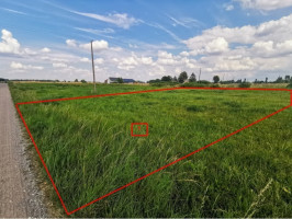 Parduodamas  sklypas Ateities alėja, Luksnėnų k., Alytaus r. sav., 24 a ploto 3