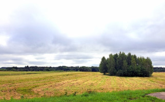 Parduodamas  sklypas Rokelių g., Kauno m., Kauno m. sav., 212.92 a ploto 7