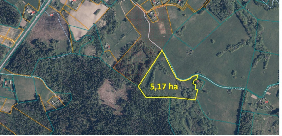 Parduodamas  sklypas Vieštovėnų k., Plungės r. sav., 517 a ploto 3