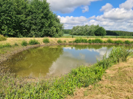 Parduodamas namas Šilelio g., Poderiškių k., Kauno r. sav., 462 m2 ploto, 2 aukštai 5