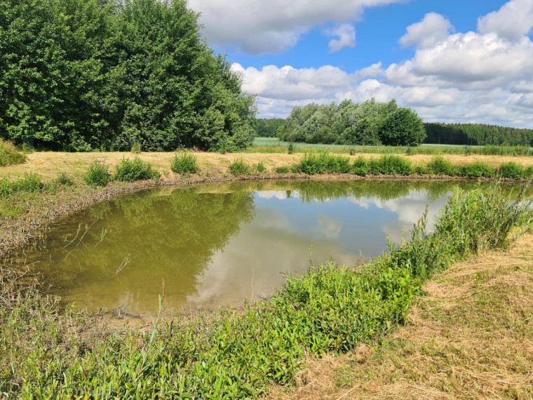 Parduodamas namas Šilelio g., Poderiškių k., Kauno r. sav., 462 m2 ploto, 2 aukštai 5