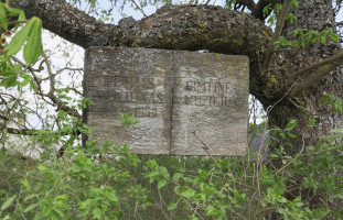 Parduodamas  sklypas Piliakalnių k., Jonavos r. sav., 982 a ploto 27