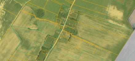 Parduodamas  sklypas Piliakalnių k., Jonavos r. sav., 982 a ploto 32