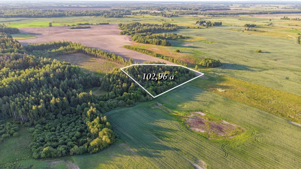 Parduodamas sklypas Šiaulių k., Širvintų r. sav., 102.96 a ploto 1