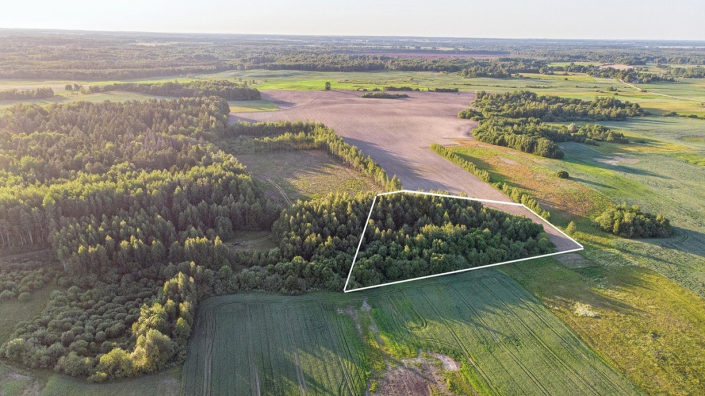 Parduodamas sklypas Šiaulių k., Širvintų r. sav., 102.96 a ploto 4