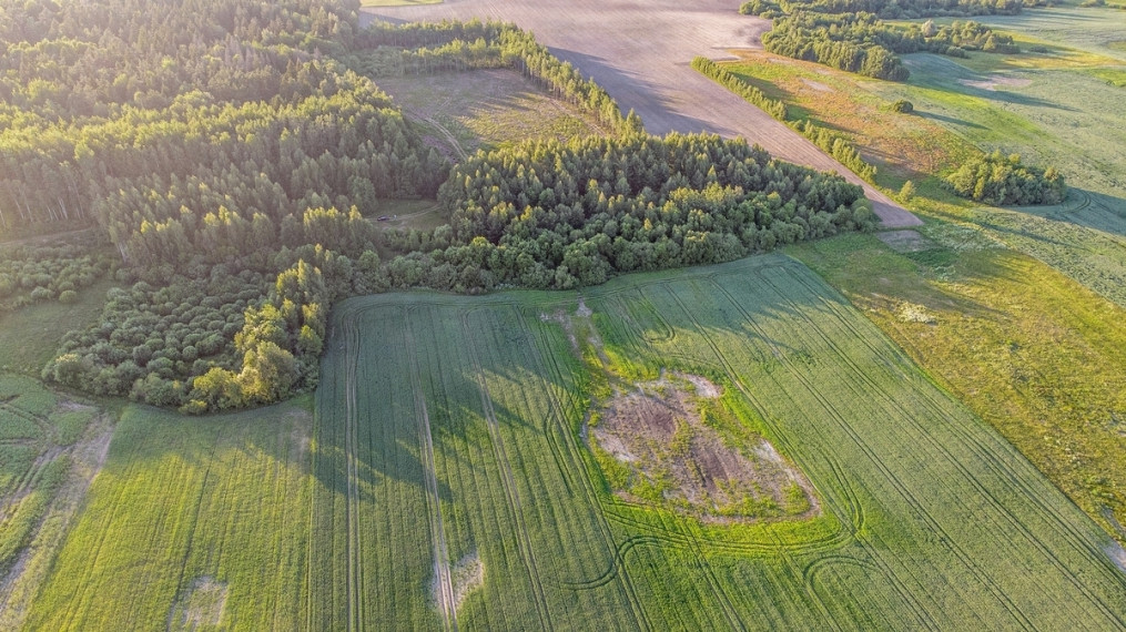 Parduodamas sklypas Šiaulių k., Širvintų r. sav., 102.96 a ploto 5