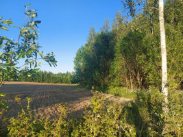 Parduodamas  sklypas Šiaulių k., Širvintų r. sav., 102.96 a ploto 9