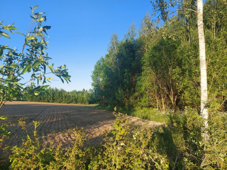 Parduodamas  sklypas Šiaulių k., Širvintų r. sav., 102.96 a ploto 9