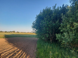 Parduodamas  sklypas Šiaulių k., Širvintų r. sav., 102.96 a ploto 10