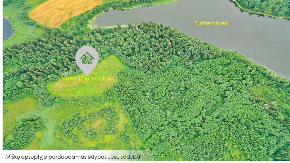 Parduodamas sklypas Punžionių k., Švenčionių r. sav., 301 a ploto 3