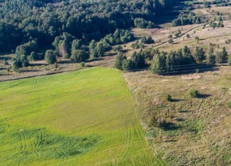 Parduodamas  sklypas Vabalių k., Vilniaus r. sav., 414 a ploto