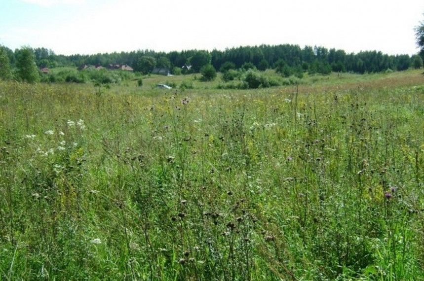 Parduodamas sklypas Vabalių k., Vilniaus r. sav., 414 a ploto 2
