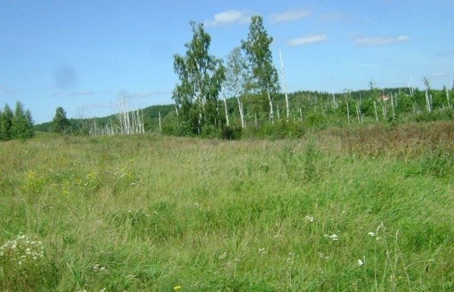 Parduodamas  sklypas Vabalių k., Vilniaus r. sav., 414 a ploto 3