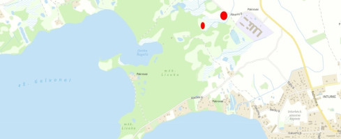 Parduodamas  sklypas Alksnių g., Pakrovų k., Molėtų r. sav., 249 a ploto 10