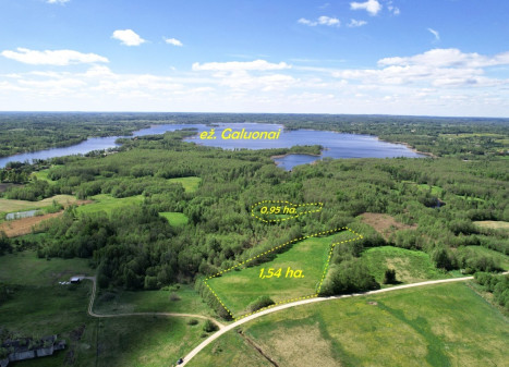 Parduodamas  sklypas Alksnių g., Pakrovų k., Molėtų r. sav., 249 a ploto