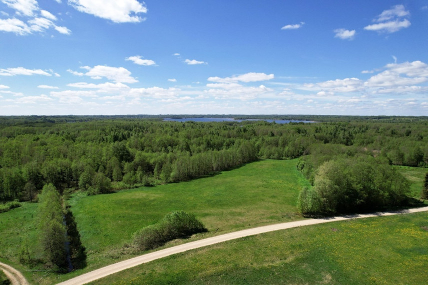 Parduodamas sklypas Alksnių g., Pakrovų k., Molėtų r. sav., 249 a ploto 3